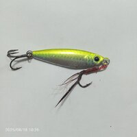 IMG_20260818_102648_412.jpg