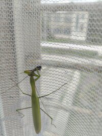 IMG_20260818_151957492.jpg