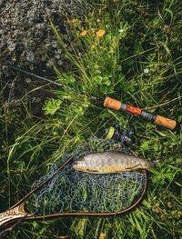 V-z2AWJDqOwSDegRys25HktgRj4E3FnIHOVDqtHUiaNuZYqFHZLJkzBy8jR0SaPkvReB4hX5egVO5pKAJgkT7eEd.jpg