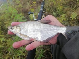 IMG_20260820_073114.jpg