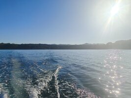 IMG_20260821_091114.jpg