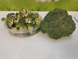 IMG_20260819_123342.jpg