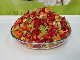 IMG_20260821_131922.jpg