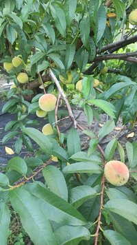 IMG_20260821_184558.jpg