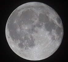 IMG_0455.JPG