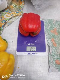 IMG_20260822_183427_8.jpg