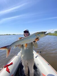 IMG_4179.jpeg