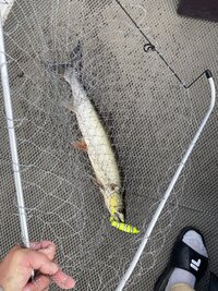IMG_4133.jpeg