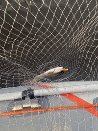 IMG_4119.jpeg