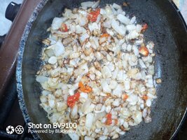 IMG_20260823_231310_4.jpg
