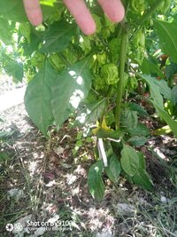 IMG_20260824_145646_9.jpg