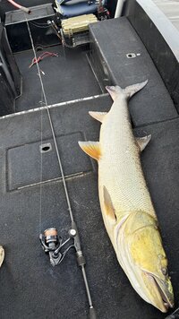 IMG_1083.jpeg