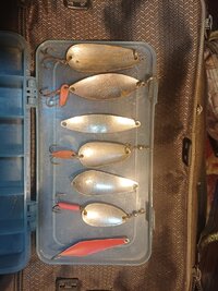 20260825_231906.jpg