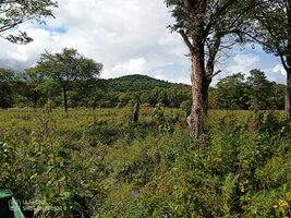 IMG_20260827_152733_805.jpg