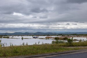 IMG_3220.jpg