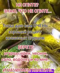 IMG_20260828_172855.jpg