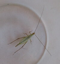 IMG_3285.JPG