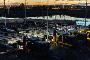 IMG_3029.jpg