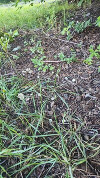 IMG_20260828_072017.jpg