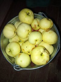 IMG_20260828_204334.jpg