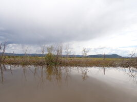 P8300036.JPG