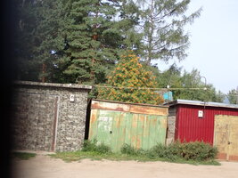 P8300030.JPG