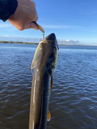 IMG_4492.jpeg