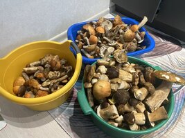 IMG_4121.jpeg