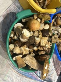 IMG_4124.jpeg