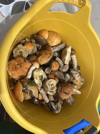IMG_4122.jpeg