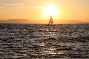 IMG_20260901_115041_139.jpg