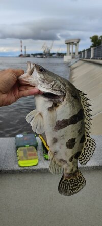 IMG_20260831_154946.jpg