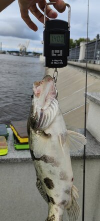 IMG_20260831_154856.jpg