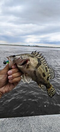 IMG_20260831_150008.jpg
