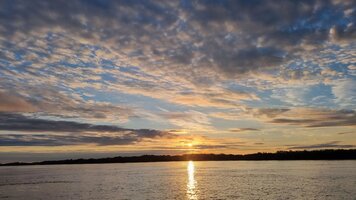 IMG_20260901_212335_159.jpg