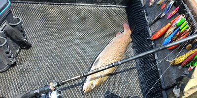 IMG_20260701_131113_114.jpg