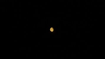 DSC08112.JPG