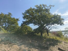 IMG_20260901_105109532.jpg