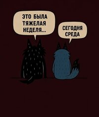 IMG_3273.jpeg