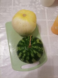 IMG_20260902_222749.jpg