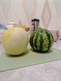 IMG_20260902_222743.jpg