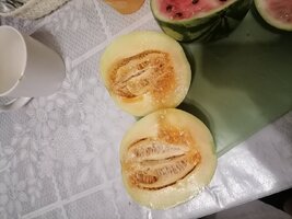 IMG_20260902_222848.jpg