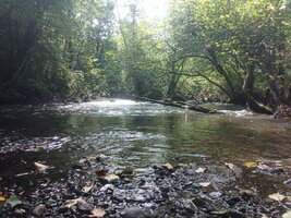 IMG_20260903_144141_718.jpg
