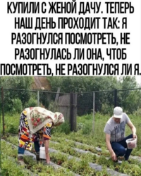 1788465310629.png