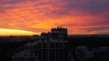DSC08447.jpg