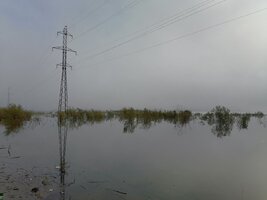 IMG_20260904_084433.jpg