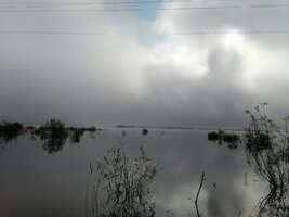IMG_20260904_084428.jpg