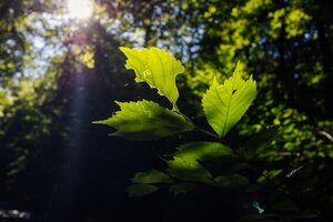 k5ZnjHgJMflUulwtmXY9I8U4IpNnKvQenmhs3slk4gU91hlYm4RQm-zgSqIqPsjTSYxgTaQa9Banenj-s17jVB3t.jpg