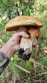 SAVE_20260904_221854.jpg