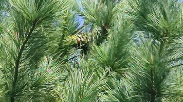 IMG_20260905_122925.jpg
